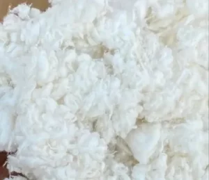 ALPHA CELLULOSE FIBER