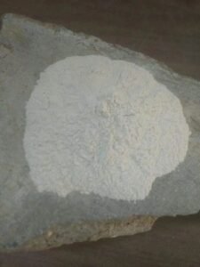 Quartz Powder 200 Mesh